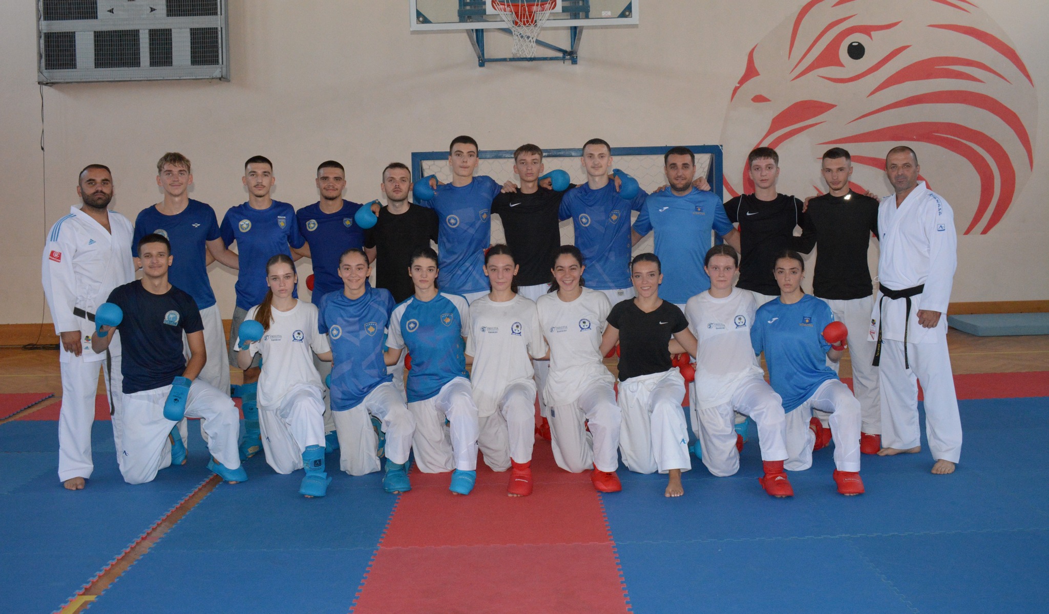 Sërish Spanja, sërish probleme për sportistët nga Kosova – tani karateja nuk dëshiron të zhvillojë gara pas diskriminimit Sërish Spanja, sërish probleme për sportistët nga Kosova – tani karateja nuk dëshiron të zhvillojë gara pas diskriminimit